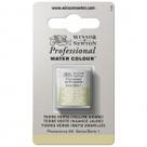 Tinta Aquarela Winsor & Newton Profissional Pastilha S1 638 Terre Verte Yellow