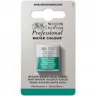 Tinta Aquarela Winsor & Newton Profissional Pastilha S1 719 Winsor Green (Blue Shade) Tinta Aquarela Winsor & Newton Profissional Pastilha S1 719 Winsor Green (Blue Shade)