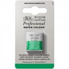 Tinta Aquarela Winsor & Newton Profissional Pastilha S1 721 Winsor Green (Yellow Shade) Tinta Aquarela Winsor & Newton Profissional Pastilha S1 721 Winsor Green (Yellow Shade)