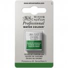 Tinta Aquarela Winsor & Newton Profissional Pastilha S3 459 Oxide Of Chromium