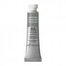 Tinta Aquarela Winsor & Newton Profissional Tubo 5ml S1 217 Davy's Gray