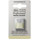 Tinta Aquarela Winsor Professional Terre Verte Yellow Shade Tinta Aquarela Winsor Professional Terre Verte Yellow Shade