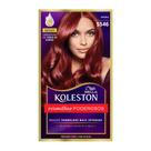 Tinta de Cabelo Koleston Kit Amora 5546 Tinta de Cabelo Koleston Kit Amora 5546
