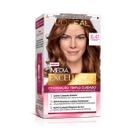 Tinta de Cabelo Permanente Imédia Excellence L'Oréal Paris Creme 6.41 Marrom