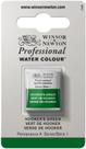 Tinta em aquarela Winsor & Newton Hooker's Green Half Pan Tinta em aquarela Winsor & Newton Hooker's Green Half Pan