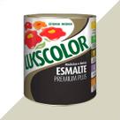 Tinta esmalte lukscolor alto brilho 900ml branco gelo