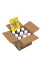 Tinta lavável Crayola Colors Of The World 250 ml (9 ct) em tom de pele