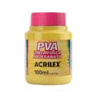 Tinta Pva Fosca 100ml P/ Artesanato Acrilex