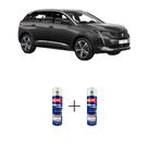 Tinta Spray Automotiva Cinza Platinum - EVL Peugeot 300ml + Spray Verniz 300ml