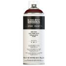 Tinta Spray Profissional Liquitex 400ml 0128 Burnt Umber