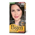 Tintura Bigen Preto Natural 58