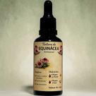 Tintura de Equinácea 50 ml Uso Tradicional