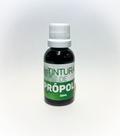 Tintura de própolis c/30ml