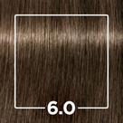 Tintura Profissional Igora Louro Escuro 6.0