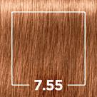 Tintura Profissional Igora Louro Médio Dourado 7.55