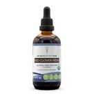 Tintura Secrets of the Tribe Red Clover Herb 120 ml orgânica