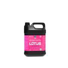 Tira Manchas Lotus 5kg- Gs Home Sol.