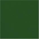 TNT 1,40M 40G Verde Escuro Rolo com 50 Metros
