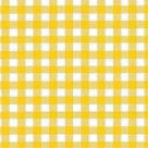 Tnt Xadrez Amarelo e Branco - 5 Metros