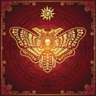 Toalha esoterica mariposa caveira e oráculo tarot dourado