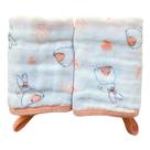 Toalha Fraldinha de Boca Bebe Soft 100% Algodão Chupeta Absorvente Presente 2 Camadas 2 unidades Enxoval