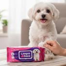 Toalha Lenço Umedecido Cachorro Cães e Gatos 50un Limpa Pata, Popô, Face Higiene pH Neutro Pet Clean