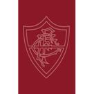 Toalha Social Buettner Jacquard Veludo Futebol Fluminense 33cmx50cm Grená Toalha Social Buettner Jacquard Veludo Futebol Fluminense 33cmx50cm Grená