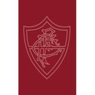 Toalha Social Buettner Jacquard Veludo Futebol Fluminense 33cmx50cm Grená Toalha Social Buettner Jacquard Veludo Futebol Fluminense 33cmx50cm Grená