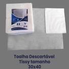 TOALHAS DESCARTAVEIS TISSY 30x40 LIMPEZA AUTOMOTIVA 300 UNI