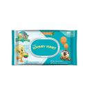 Toalhas umedecidas looney tunes c/48