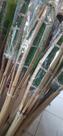 Tocha de bambu