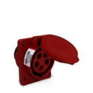 Tomada de Embutir 315 3P + N + T 6H 380Vca / 16A Vermelho IP44 Sibratec Tomada de Embutir 315 3P + N + T 6H 380Vca / 16A Vermelho IP44 Sibratec