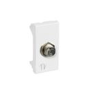 Tomada para Antena de TV cabo Coaxial Branco - Pial Plus