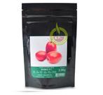 Tomate Hibrido Romeu / Produto Original 1.000 Sementes Tomate Hibrido Romeu / Produto Original 1.000 Sementes
