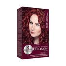 Tonalizante Haskell Excllusiv Tom 6646 Vermelho Especial Cereja
