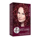 Tonalizante Haskell Exclusiv 66.46 Vermelho Cereja Vibrante Duradouro para Cabelos Tonalizante Haskell Exclusiv 66.46 Vermelho Cereja Vibrante Duradouro para Cabelos