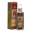 Toques de Veludo Loção Tantra Siliconada com Aroma LUXXXO