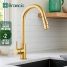 Torneira Cozinha Gourmet Monocomando Ducha Extensível Luxo Misturador Inox 304 Escovado Bancada Flexia Com Garantia