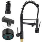 Torneira Cozinha Gourmet Monocomando Preto Fosco Duo Flexível