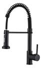 Torneira Gourmet Inox 50Cm Sn02 Snel Premium Modelo: Bancada Cor: Preto
