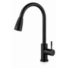 Torneira Monocomando Cozinha Preto Fosco C/ Extensor 2 Jatos