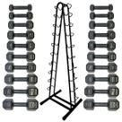 Torre Suporte + Halteres Sextavado Emborrachados - Pares de 1 a 10 Kg