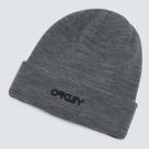 Touca Gorro Oakley B1B Logo Beanie