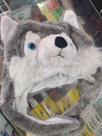Touca lobo