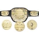 Toy Belt Spinning Wrestling Championship Kid com 4 pratos