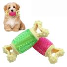 Toy Dog Chew Toy Squeaky Treat Bone Durable TPR, pacote com 2 unidades