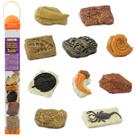 Toy Figurines Safari Ltd. Ancient Fossils TOOB para crianças a partir de 3 anos