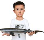 Toy SmilerSmile Simulated Ocean Big Animal Tiger Shark 38 cm