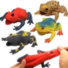 Toy ValeforToy Frog Rubber 11,43 cm, pacote com 6 sortidos para crianças