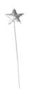 Toy Wand RG Costume Sequin Star
